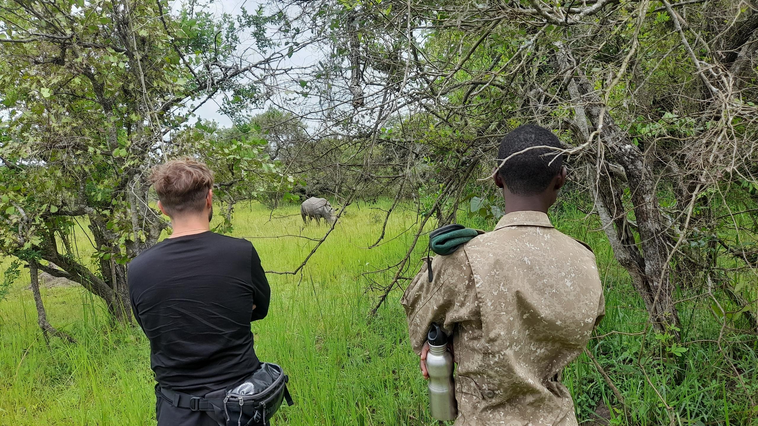 On Foot Rhino Trekking Tour at Ziwa Rhino Sanctuary & Wildlife ...