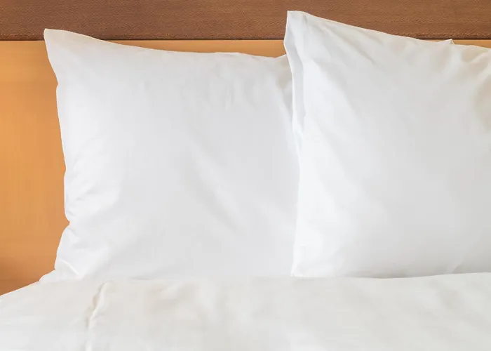 Top Hotels on Fremont for Memorable Stays