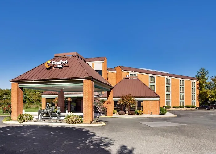 Discover the Best Hotels Close to Lexington Horse Park