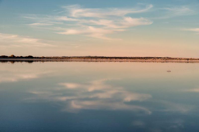 riflessi delicati a lake king, sud del western australia