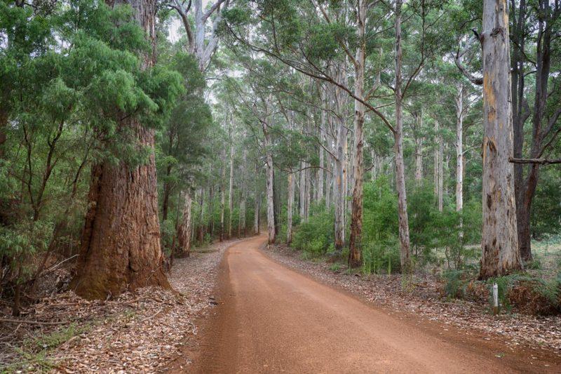 lungo il Hearthbreak trek