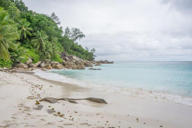 Kreuzfahrt Indischer Ozean MS Europa 2