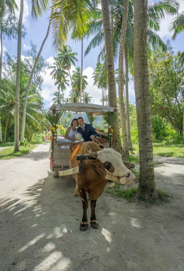 Kreuzfahrt Indischer Ozean MS Europa 2