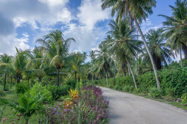 Kreuzfahrt Indischer Ozean MS Europa 2