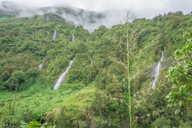 Kreuzfahrt Indischer Ozean MS Europa 2
